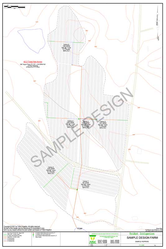 Sample Irrigation Design: Peppers