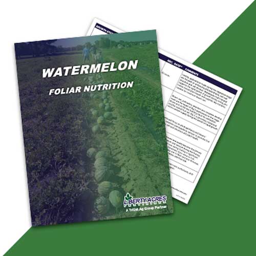 Foliar Nutrition Watermelon Program