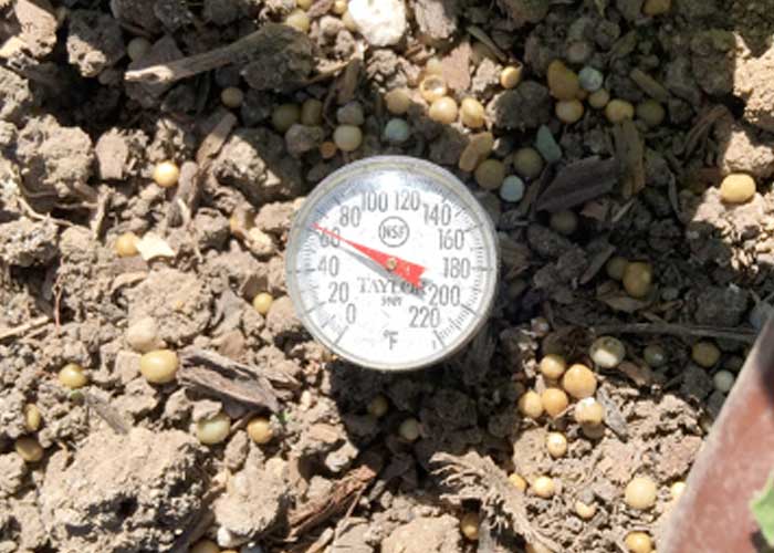 Soil Temperature