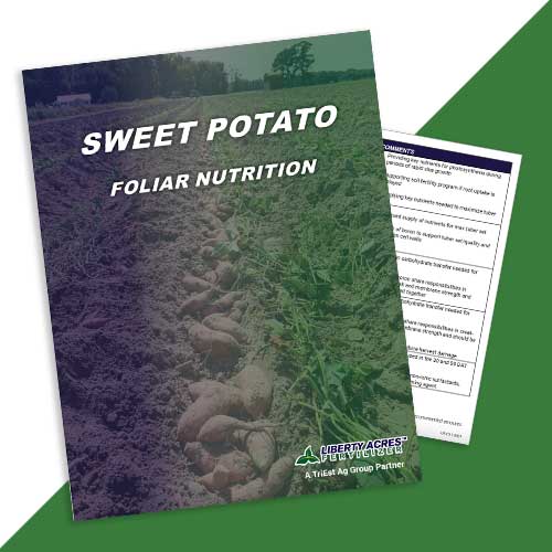 Foliar Nutrition Sweet Potato Program